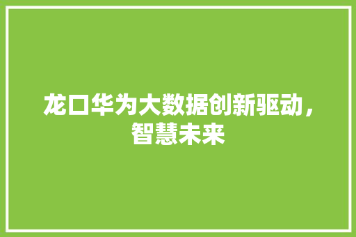 龙口华为大数据创新驱动，智慧未来