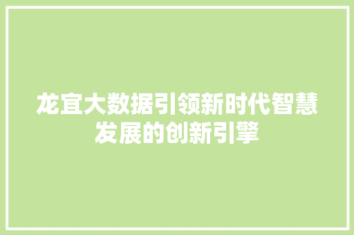 龙宜大数据引领新时代智慧发展的创新引擎