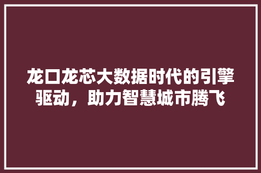 龙口龙芯大数据时代的引擎驱动，助力智慧城市腾飞