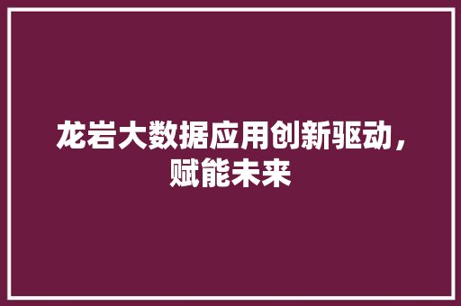 龙岩大数据应用创新驱动，赋能未来