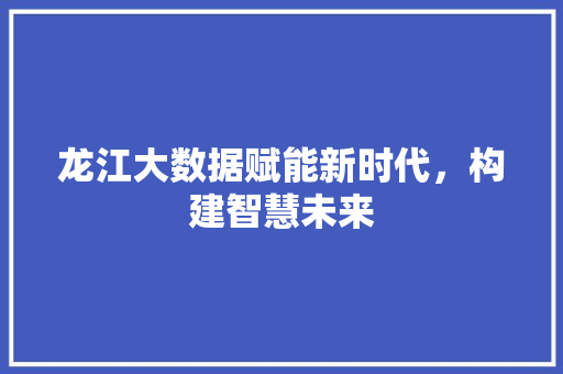 龙江大数据赋能新时代，构建智慧未来 Web前端