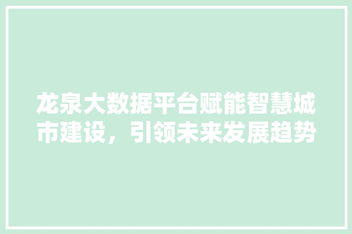 龙泉大数据平台赋能智慧城市建设，引领未来发展趋势 建站教程