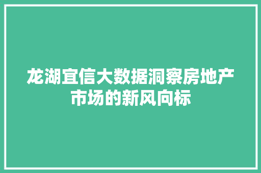 龙湖宜信大数据洞察房地产市场的新风向标 SEO教程