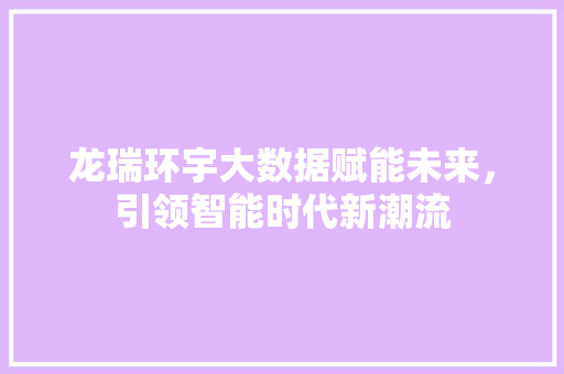 龙瑞环宇大数据赋能未来，引领智能时代新潮流