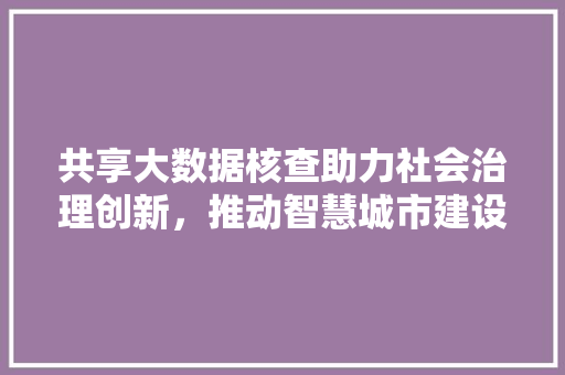 共享大数据核查助力社会治理创新，推动智慧城市建设 友链在线