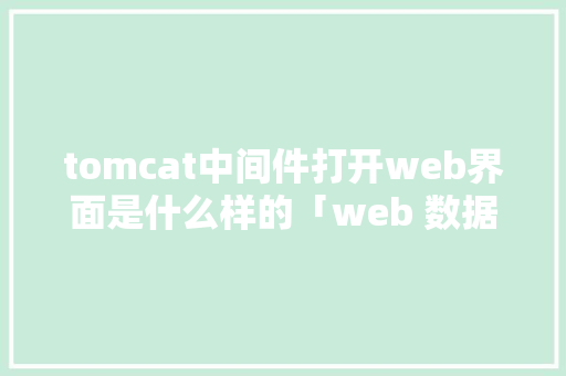 tomcat中间件打开web界面是什么样的「web 数据库」 SEO教程