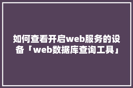 如何查看开启web服务的设备「web数据库查询工具」 友链在线