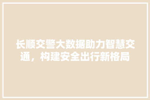 长顺交警大数据助力智慧交通，构建安全出行新格局 WordPress教程