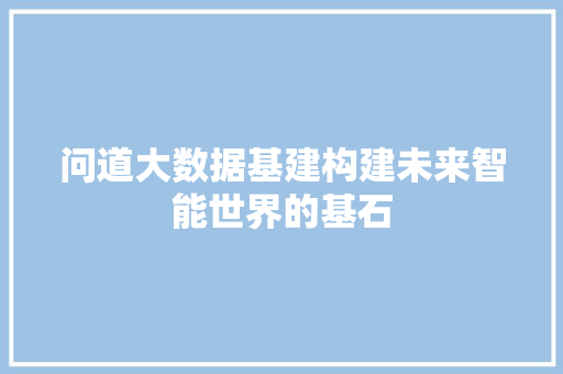 问道大数据基建构建未来智能世界的基石 建站教程