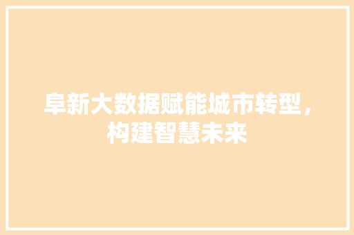 阜新大数据赋能城市转型，构建智慧未来