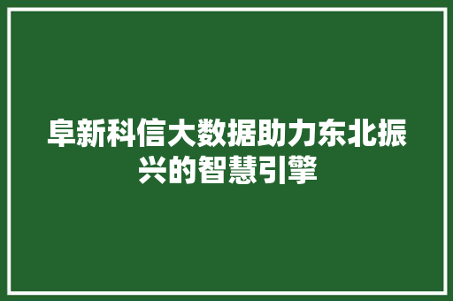 阜新科信大数据助力东北振兴的智慧引擎