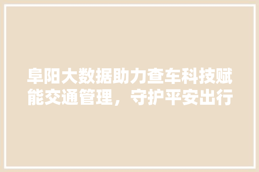 阜阳大数据助力查车科技赋能交通管理，守护平安出行
