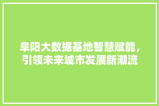 阜阳大数据基地智慧赋能，引领未来城市发展新潮流