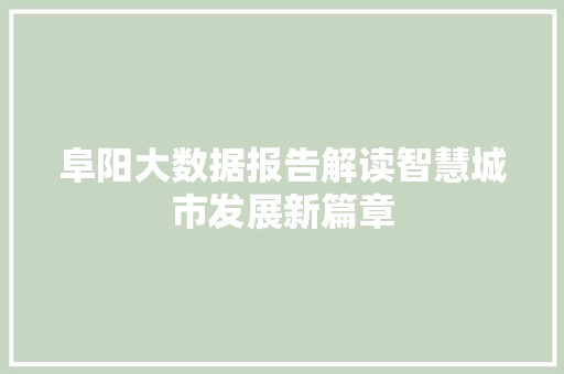 阜阳大数据报告解读智慧城市发展新篇章