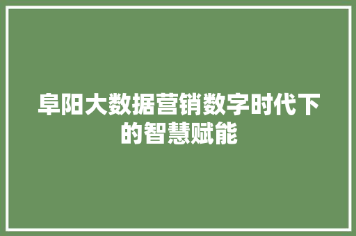 阜阳大数据营销数字时代下的智慧赋能