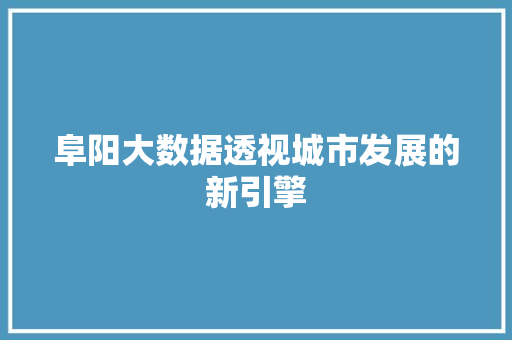阜阳大数据透视城市发展的新引擎