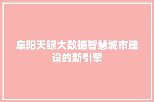 阜阳天眼大数据智慧城市建设的新引擎