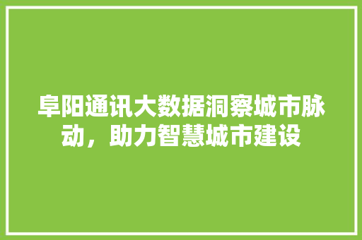 阜阳通讯大数据洞察城市脉动，助力智慧城市建设