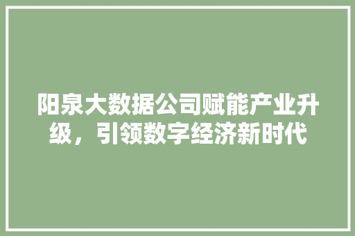 阳泉大数据公司赋能产业升级，引领数字经济新时代 建站教程
