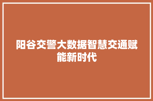 阳谷交警大数据智慧交通赋能新时代 建站教程