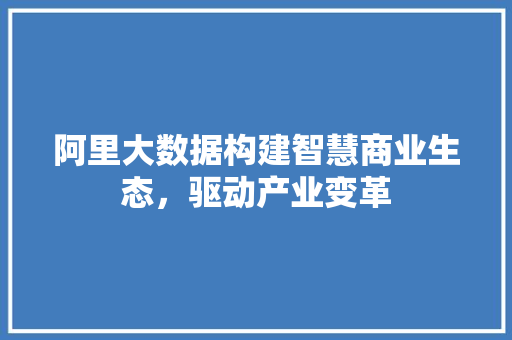 阿里大数据构建智慧商业生态，驱动产业变革