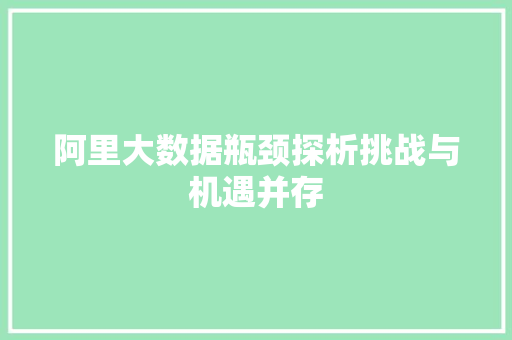 阿里大数据瓶颈探析挑战与机遇并存