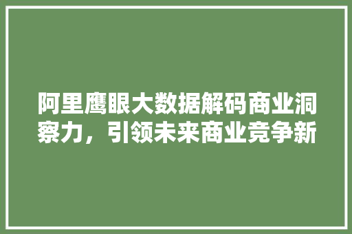 阿里鹰眼大数据解码商业洞察力，引领未来商业竞争新格局