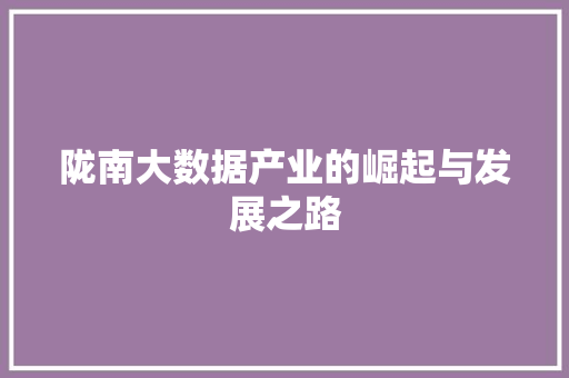 陇南大数据产业的崛起与发展之路