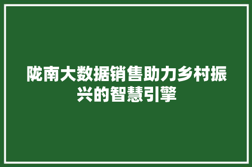 陇南大数据销售助力乡村振兴的智慧引擎
