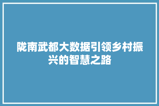 陇南武都大数据引领乡村振兴的智慧之路