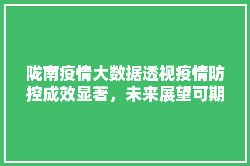 陇南疫情大数据透视疫情防控成效显著，未来展望可期