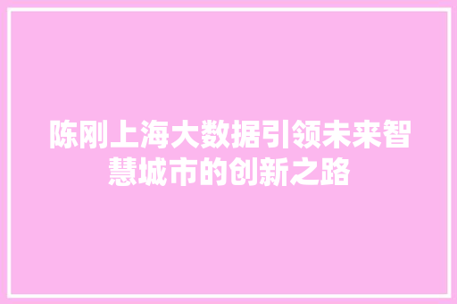陈刚上海大数据引领未来智慧城市的创新之路