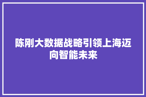 陈刚大数据战略引领上海迈向智能未来