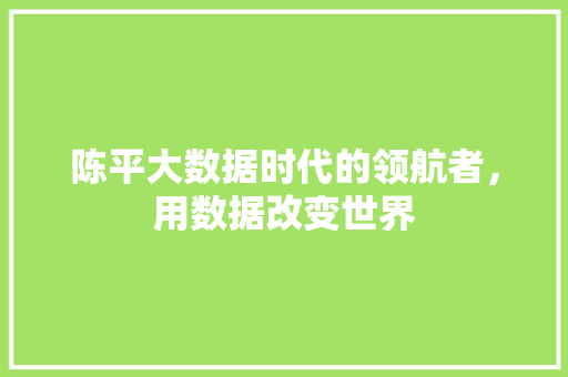 陈平大数据时代的领航者，用数据改变世界