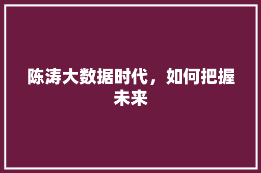 陈涛大数据时代，如何把握未来