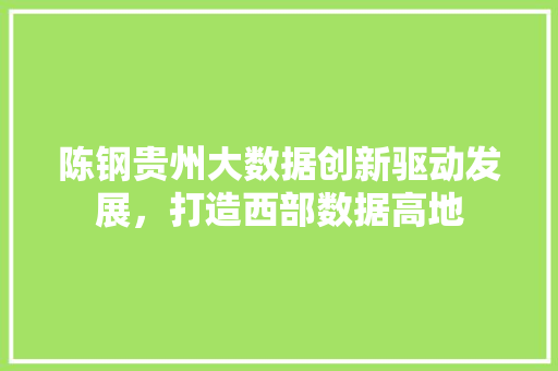 陈钢贵州大数据创新驱动发展，打造西部数据高地