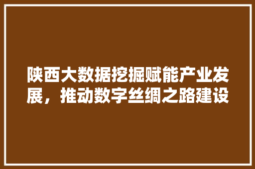 陕西大数据挖掘赋能产业发展，推动数字丝绸之路建设