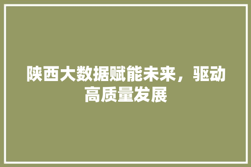 陕西大数据赋能未来，驱动高质量发展 友链在线