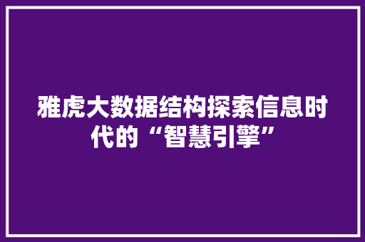 雅虎大数据结构探索信息时代的“智慧引擎”