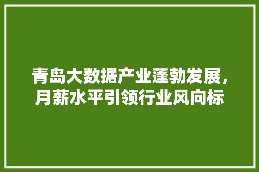 青岛大数据产业蓬勃发展，月薪水平引领行业风向标