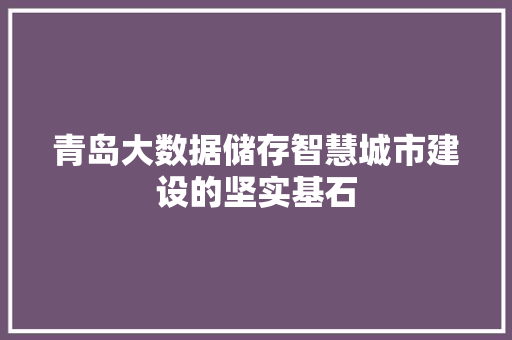 青岛大数据储存智慧城市建设的坚实基石