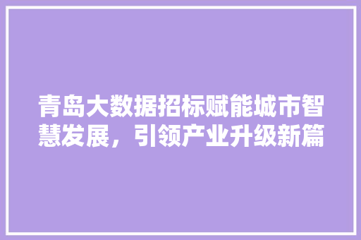 青岛大数据招标赋能城市智慧发展，引领产业升级新篇章