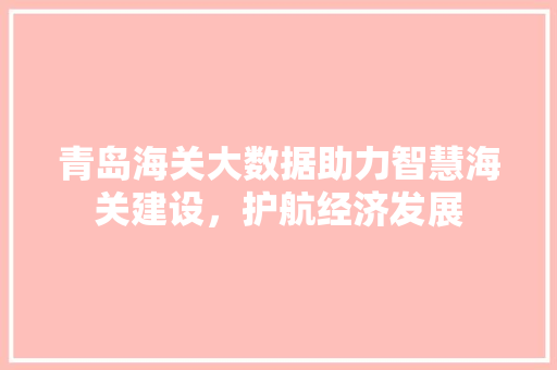 青岛海关大数据助力智慧海关建设，护航经济发展
