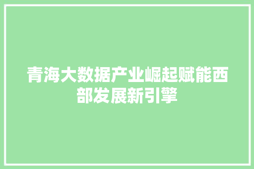青海大数据产业崛起赋能西部发展新引擎 WordPress教程