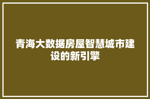 青海大数据房屋智慧城市建设的新引擎 服务器/数据库