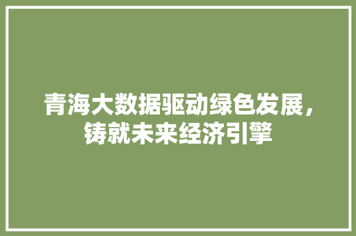 青海大数据驱动绿色发展，铸就未来经济引擎 建站教程