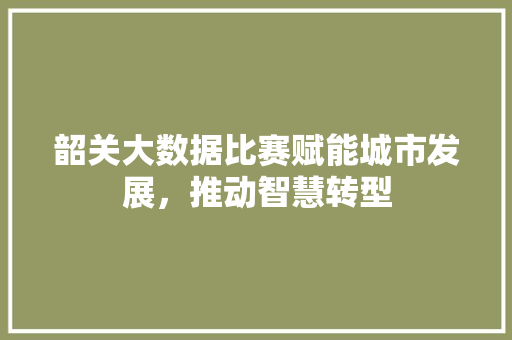 韶关大数据比赛赋能城市发展，推动智慧转型