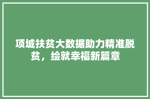项城扶贫大数据助力精准脱贫，绘就幸福新篇章