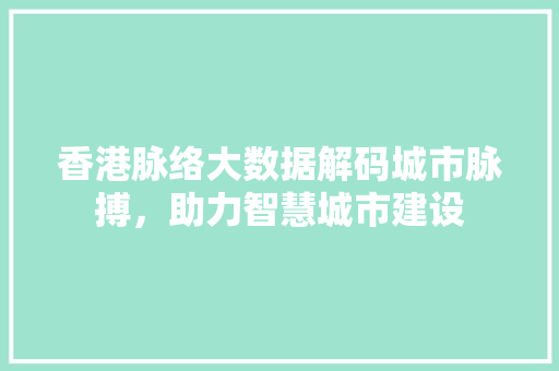 香港脉络大数据解码城市脉搏，助力智慧城市建设 SEO教程