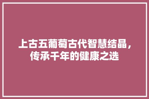 上古五葡萄古代智慧结晶，传承千年的健康之选 Web前端